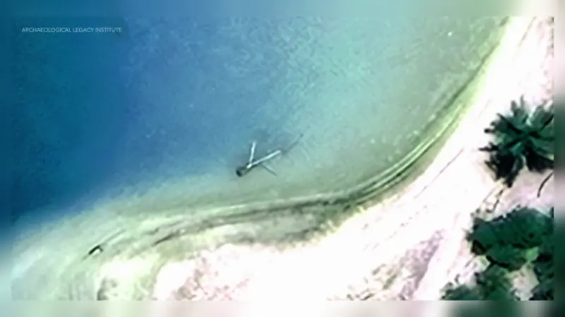 Amelia Earhart: Satellite Image of a “Plane” Turns Out to Show Trees