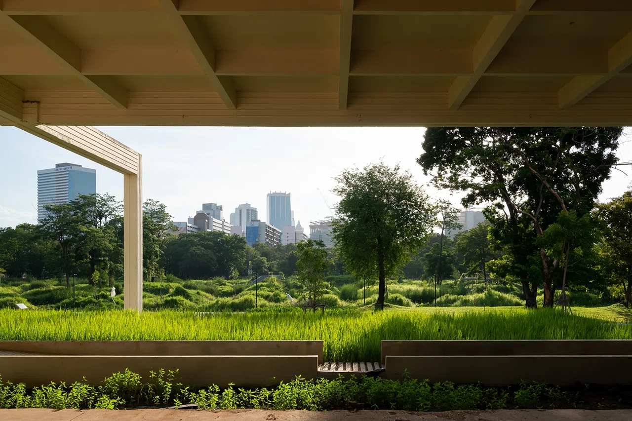 Benjakitti Forest Park — Arsomsilp & Turenscape / Architecture MasterPrize 2026