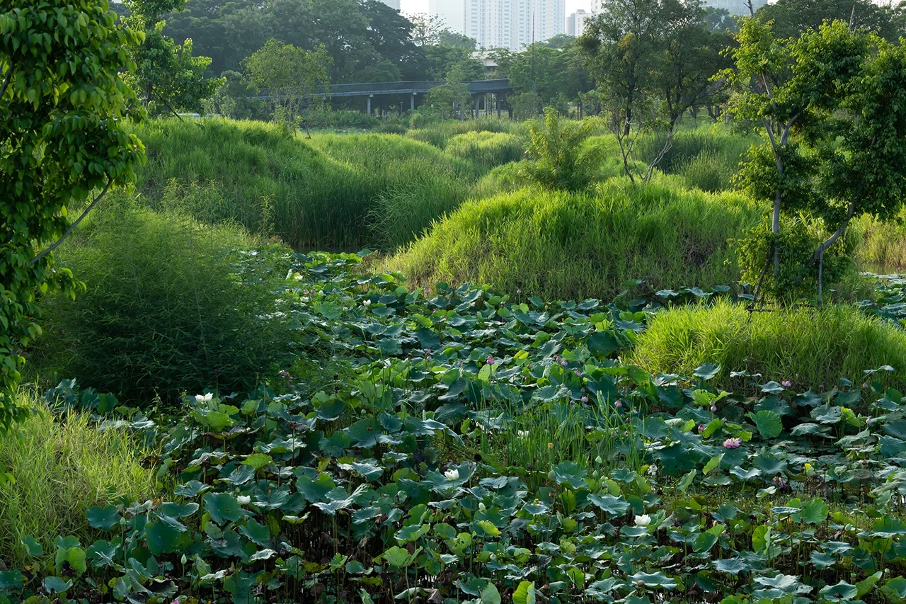 Benjakitti Forest Park — Arsomsilp & Turenscape / Architecture MasterPrize 2026