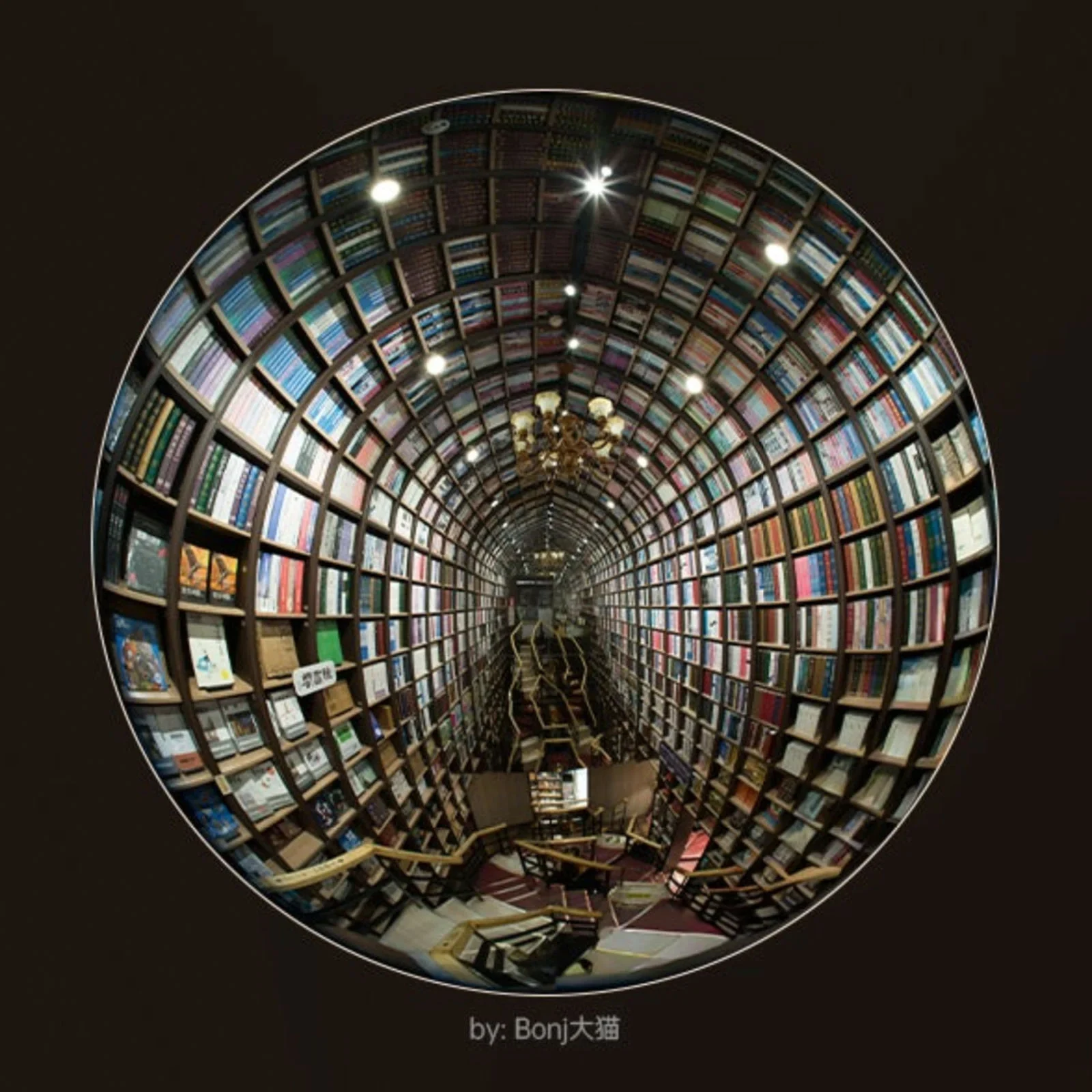 Interior bookshop fisheye photograph with curved bookshelves