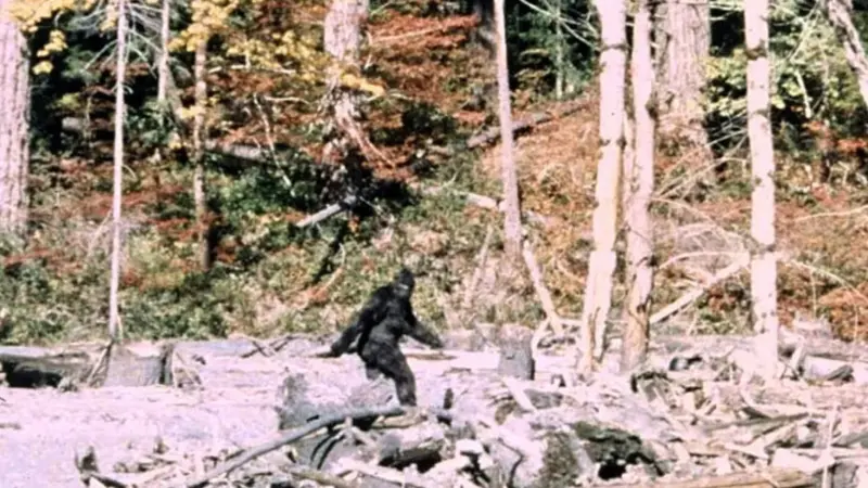 Bigfoot: Φιλμ 60 ετών αποκαλύπτει πιθανή πρόβα πίσω από το θρυλικό βίντεο του 1967