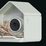 Η έξυπνη ταΐστρα Birdbuddy Nook με ενσωματωμένη κάμερα και ένα μικρό κοκκινωπό πουλί στην μπροστινή βάση