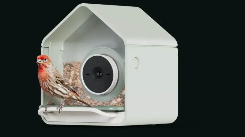 Birdbuddy Nook: A bird feeder camera for the garden, starting at $99