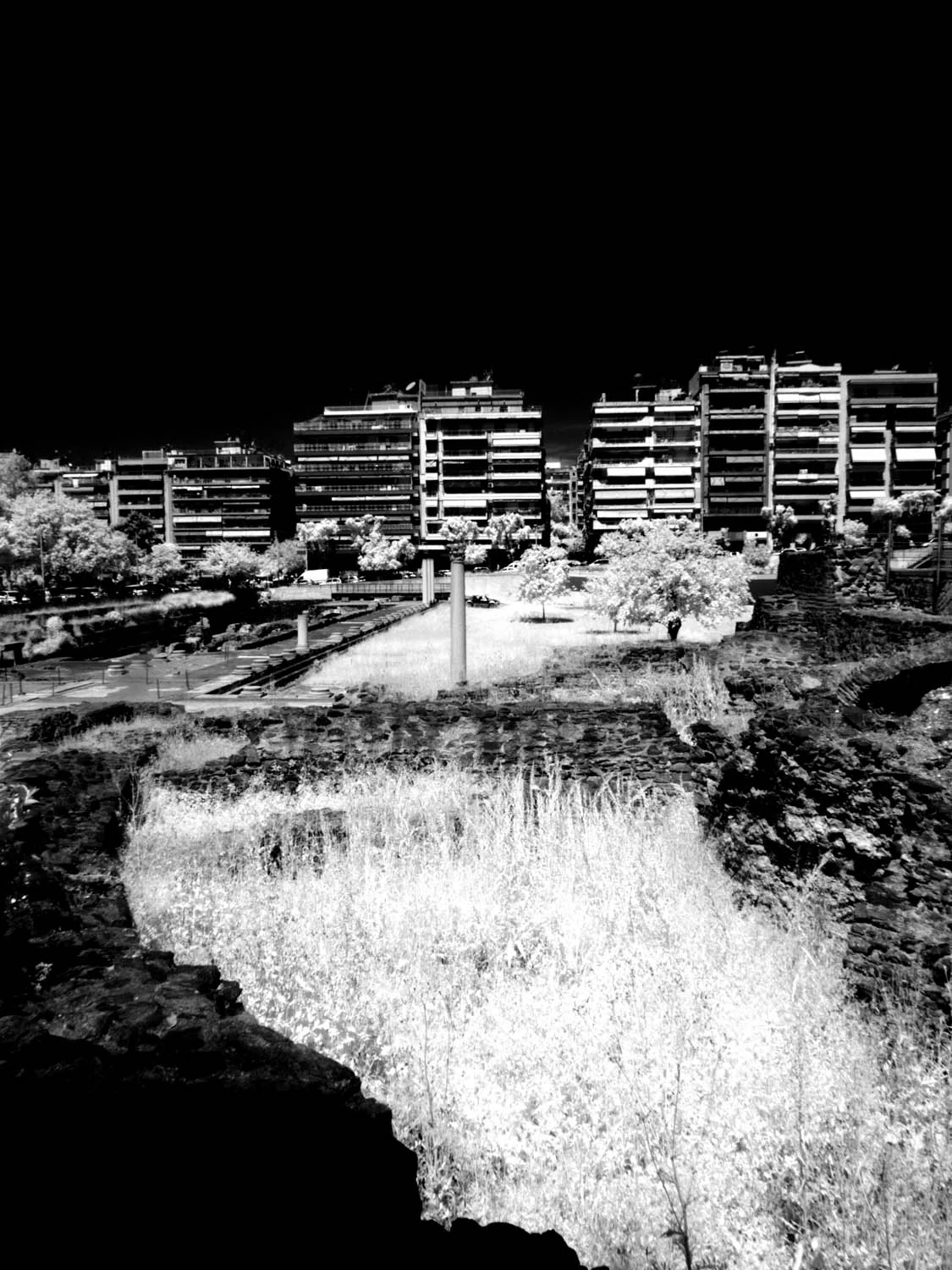 Ασπρόμαυρη υπέρυθρη θέα της πόλης με φωτεινή βλάστηση