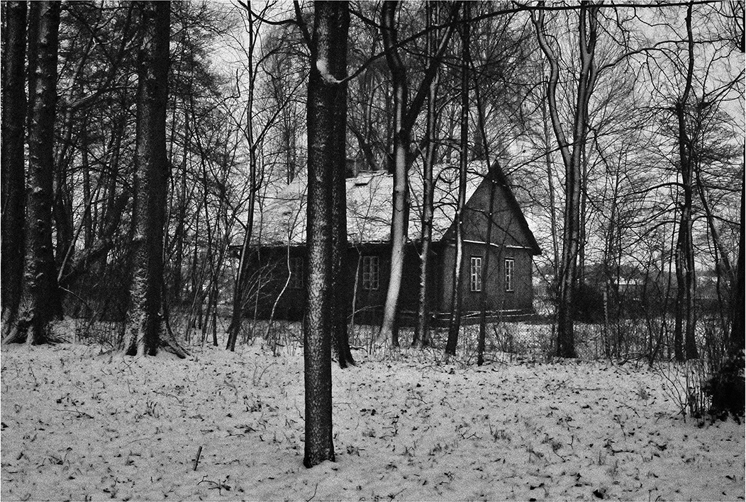 A wooden house among trees and snow, from TEREN ZIELONY