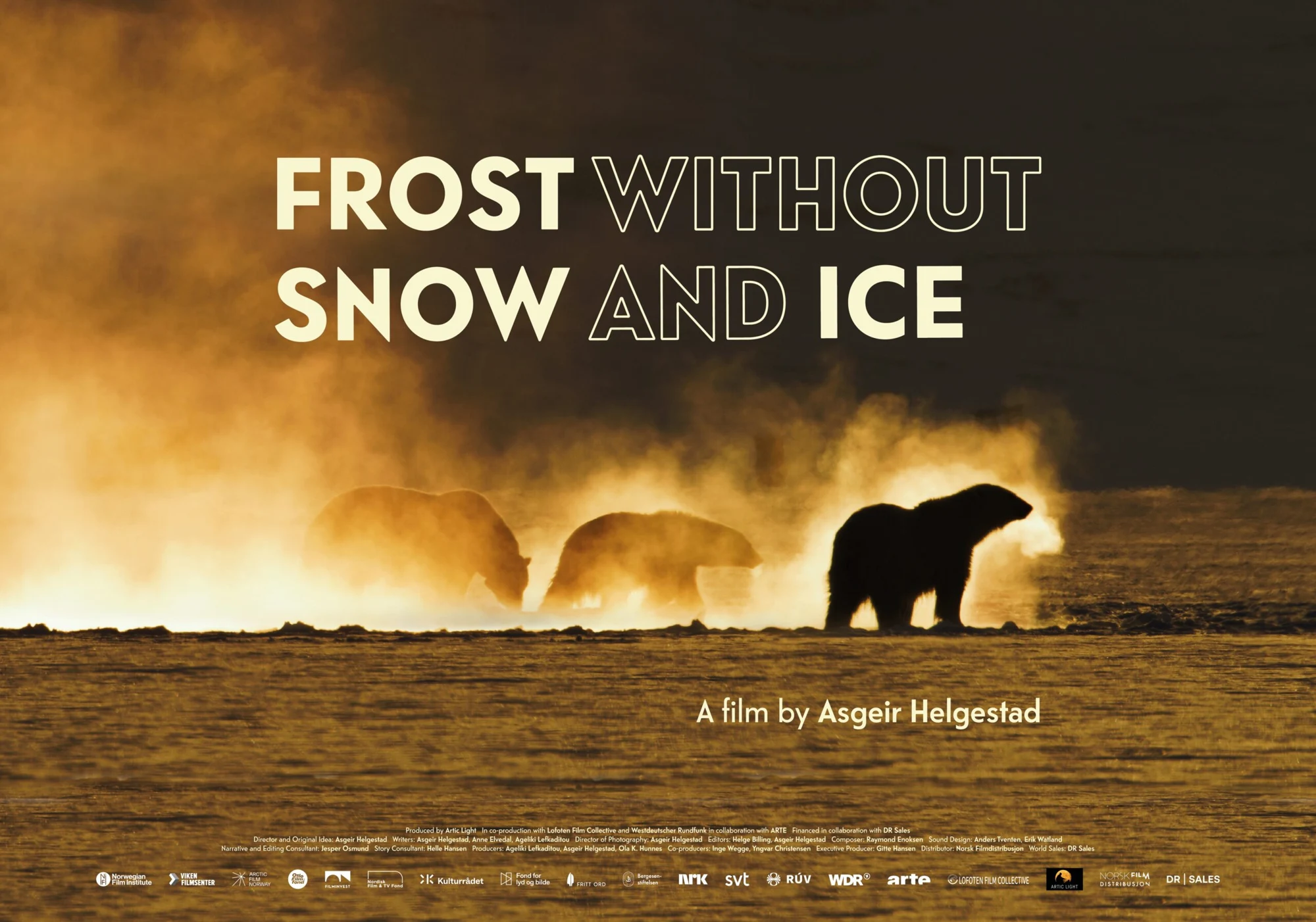 Αφίσα της ταινίας Frost Without Snow and Ice