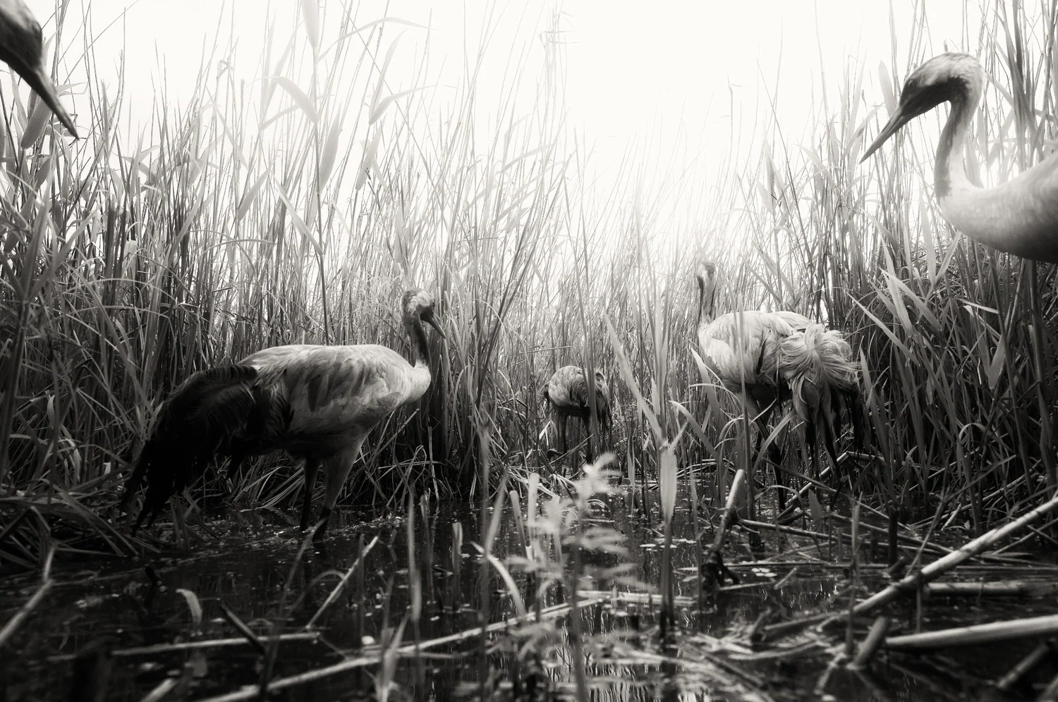 Photograph Secret paths, by Jan Wieczorek