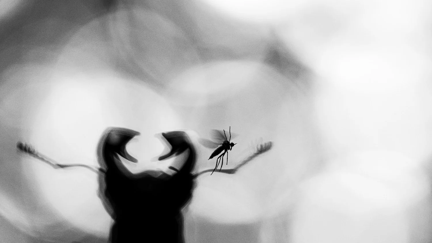 Photograph David and Goliath, by Luis Wittmer
