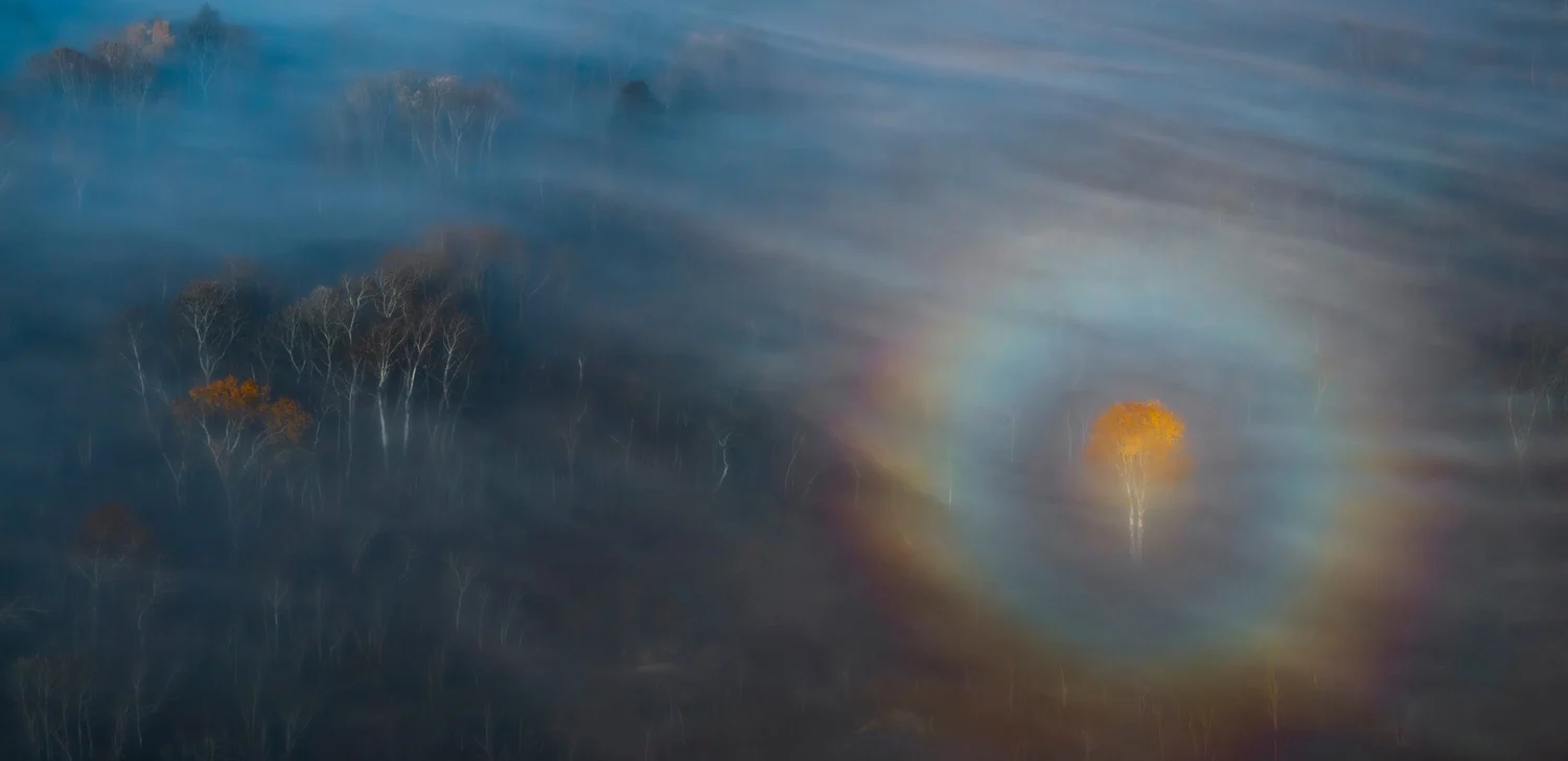 Photograph Gloria, by Csaba Daroczi