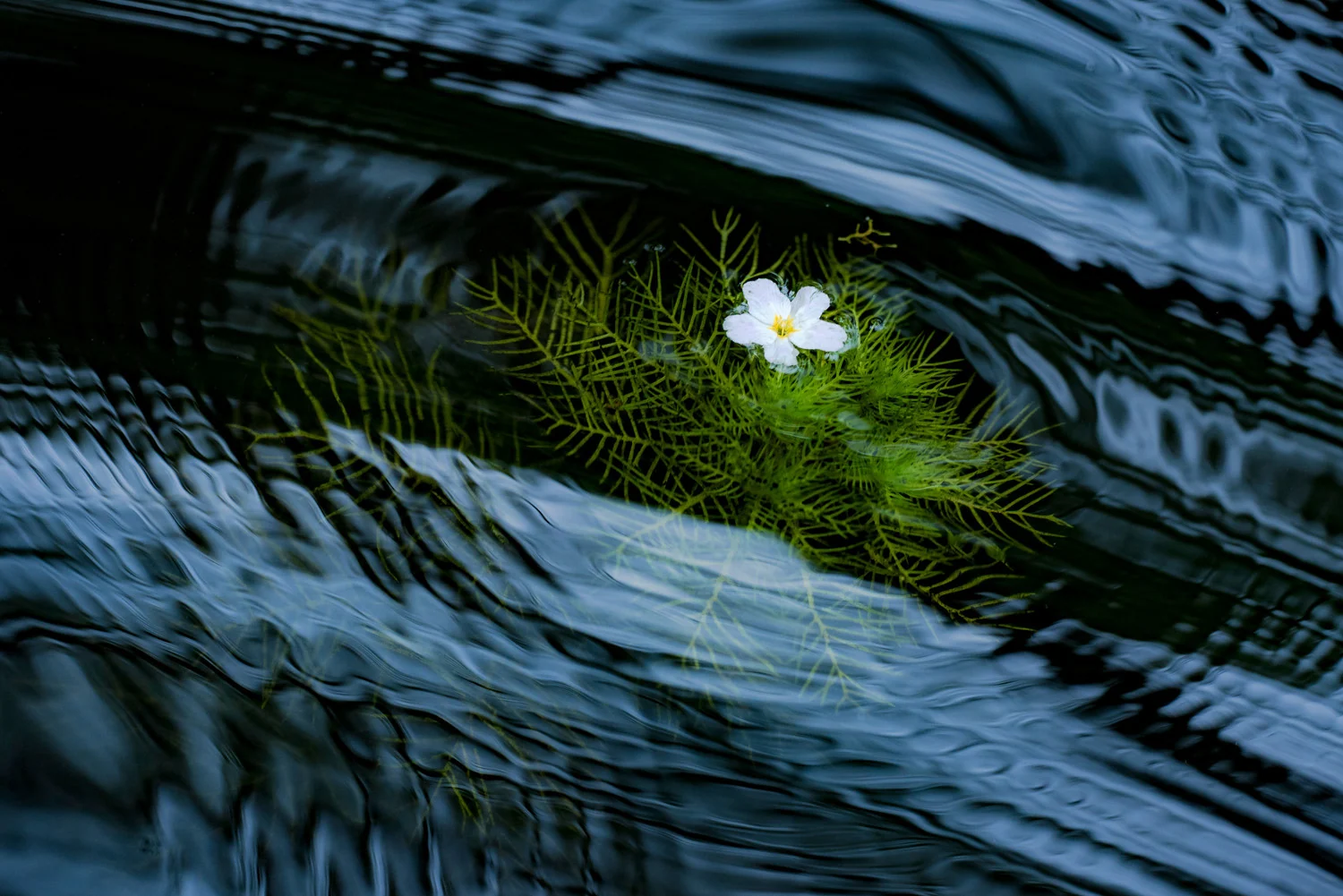 Photograph Current, by Csaba Daroczi