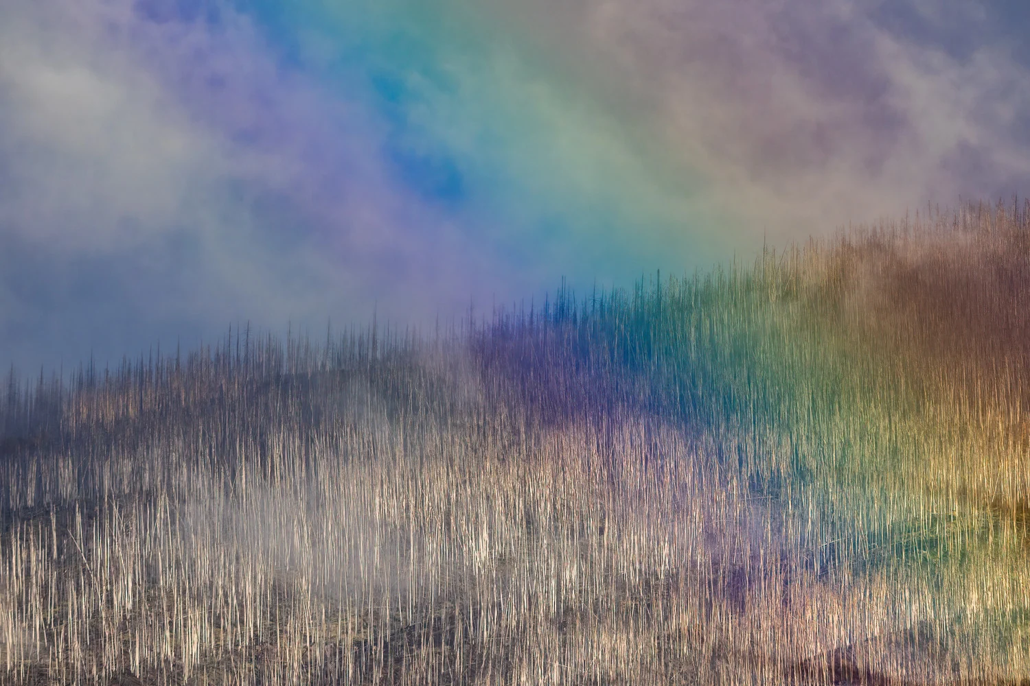 Photograph Spectrum of light, by Mauro Tronto
