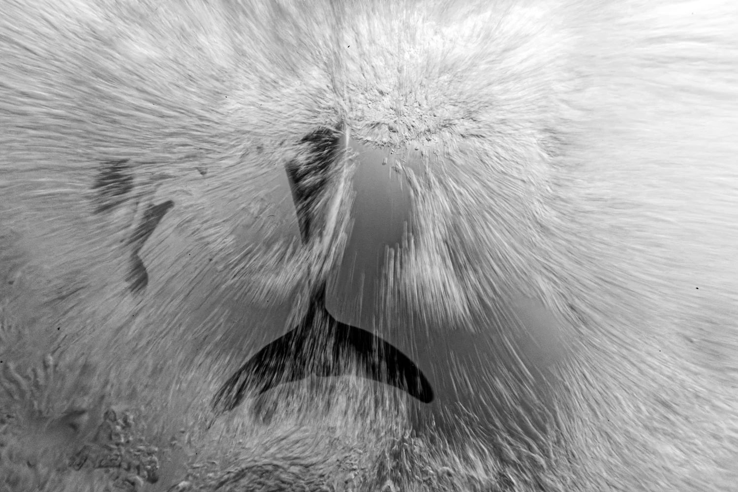 Photograph At the heart of the wave, by Guenard Bruno