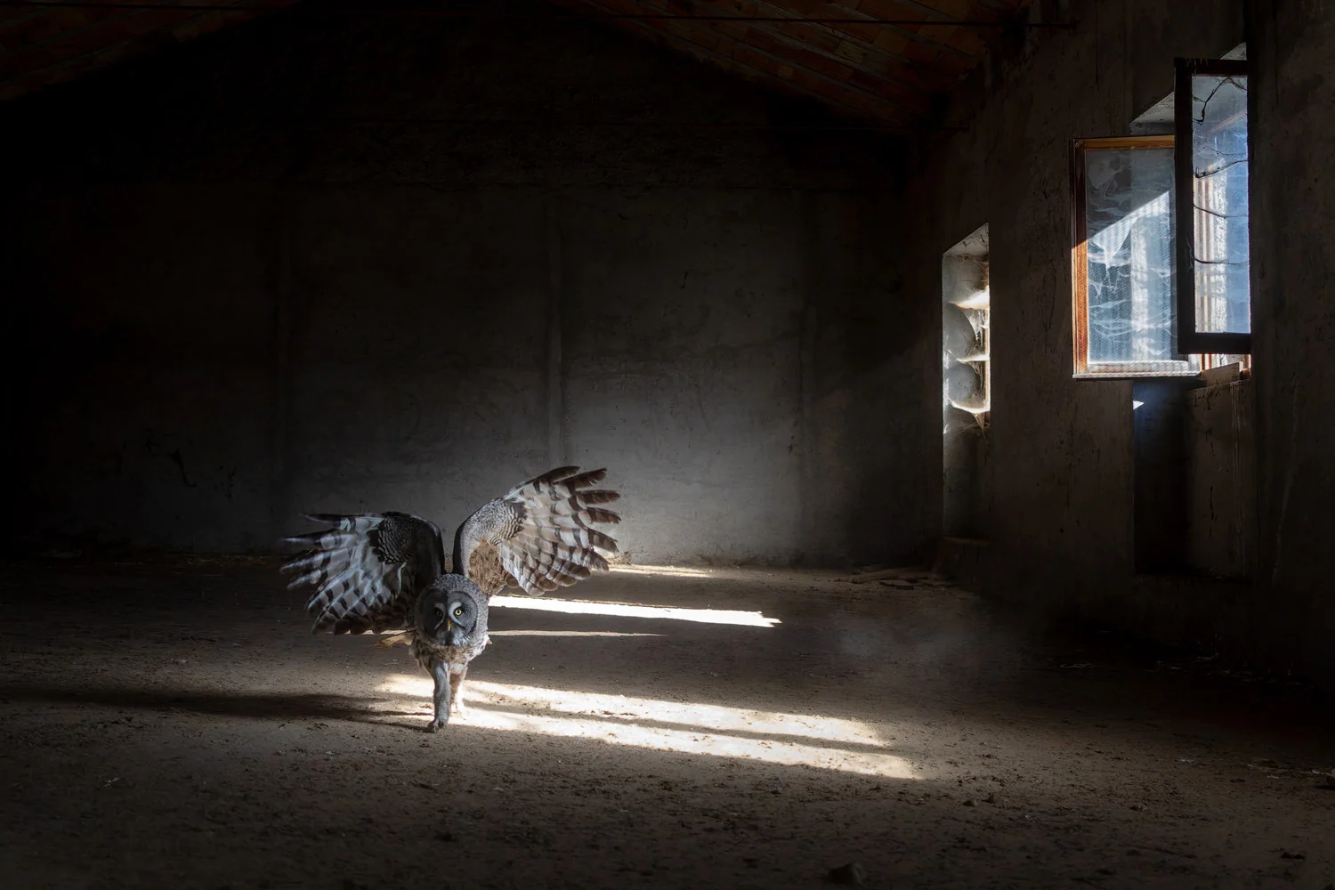 Photograph Deceptive mercy, by Aubry Schaefer