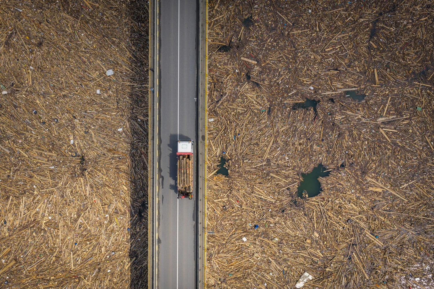 Photograph A river of timber, by Gheorghe Popa