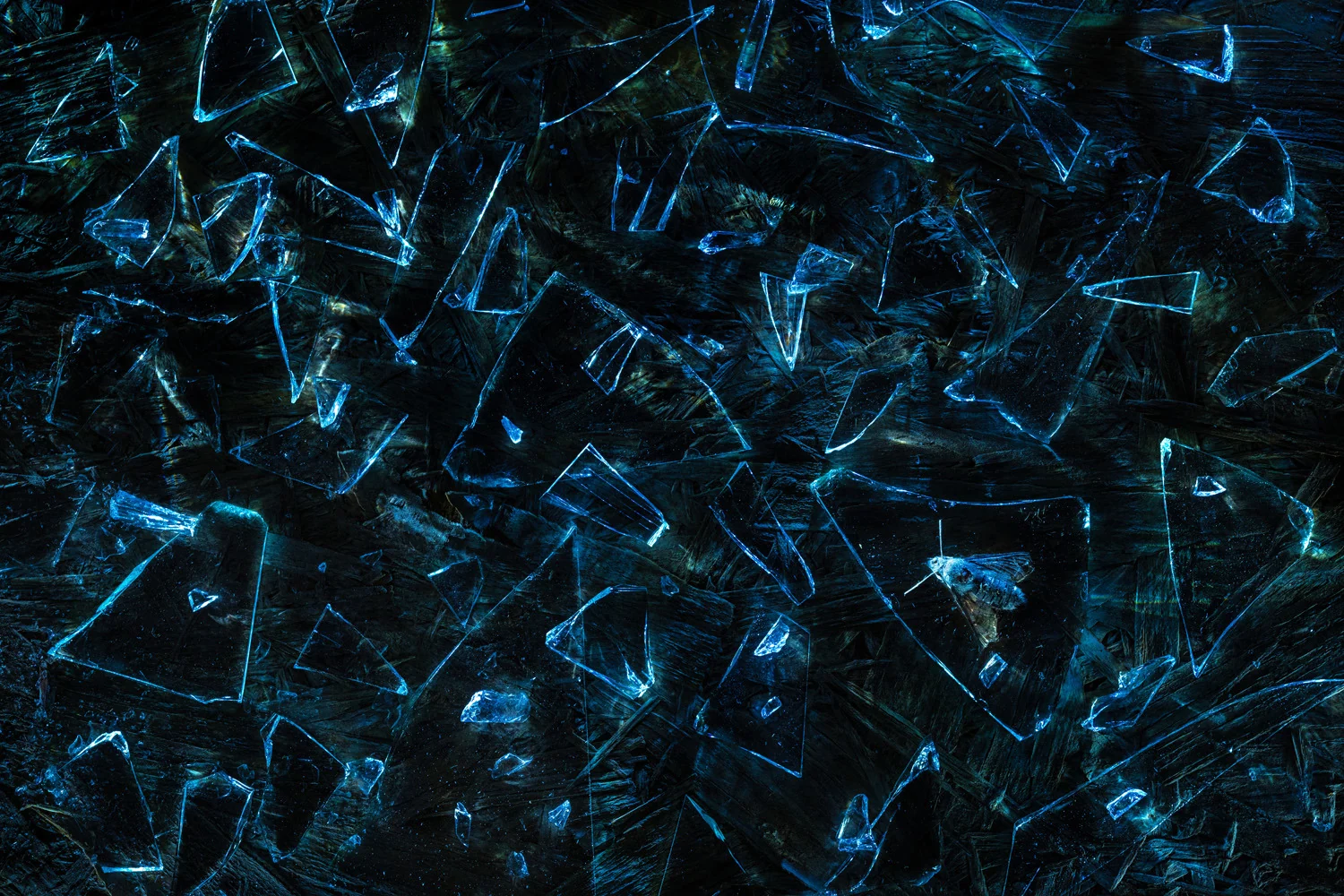 Photograph Sea of broken glass, by Florian Lottersberger