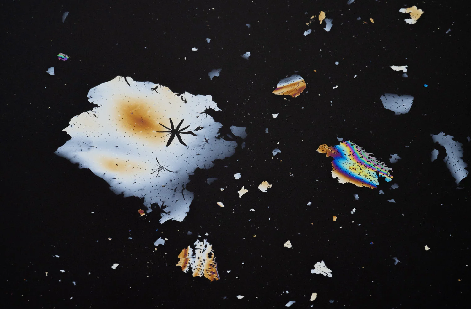Photograph Modern art in nature, by Henrik Schultz
