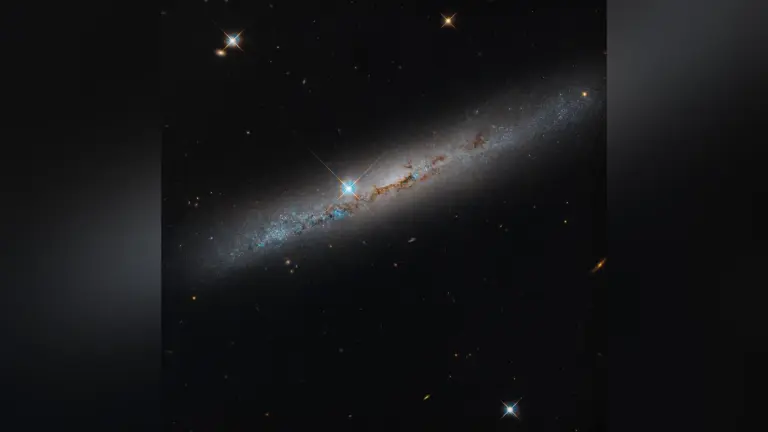 Γαλαξίας NGC 1827 από το πλάι, με καφετιές λωρίδες σκόνης, γαλάζιες περιοχές και φωτεινά άστρα προσκηνίου