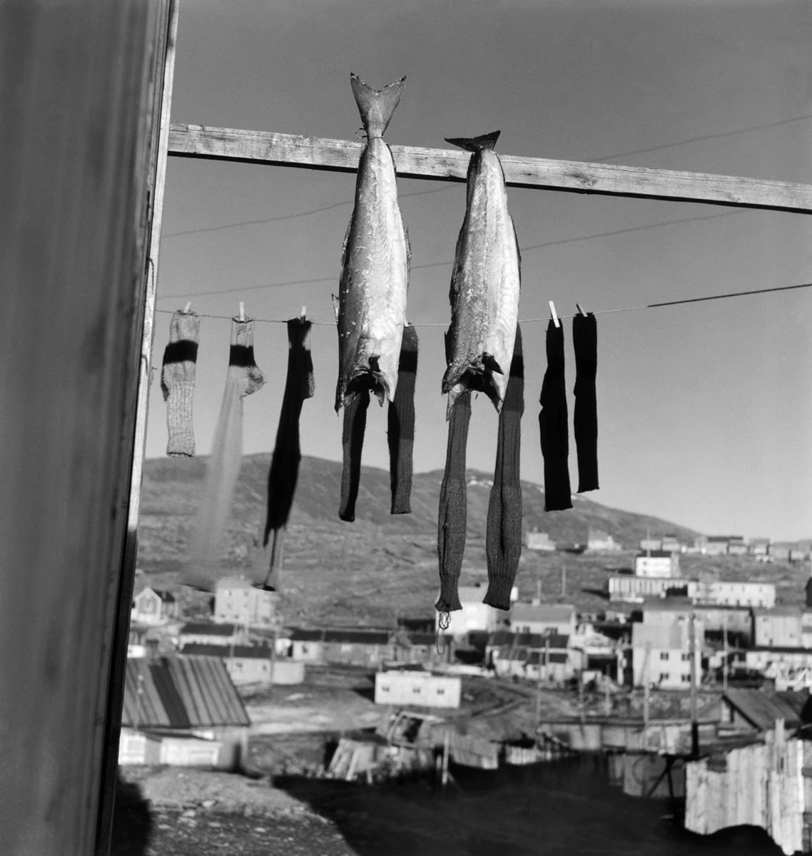 Ψάρια κρεμασμένα μπροστά σε παραθαλάσσιο οικισμό