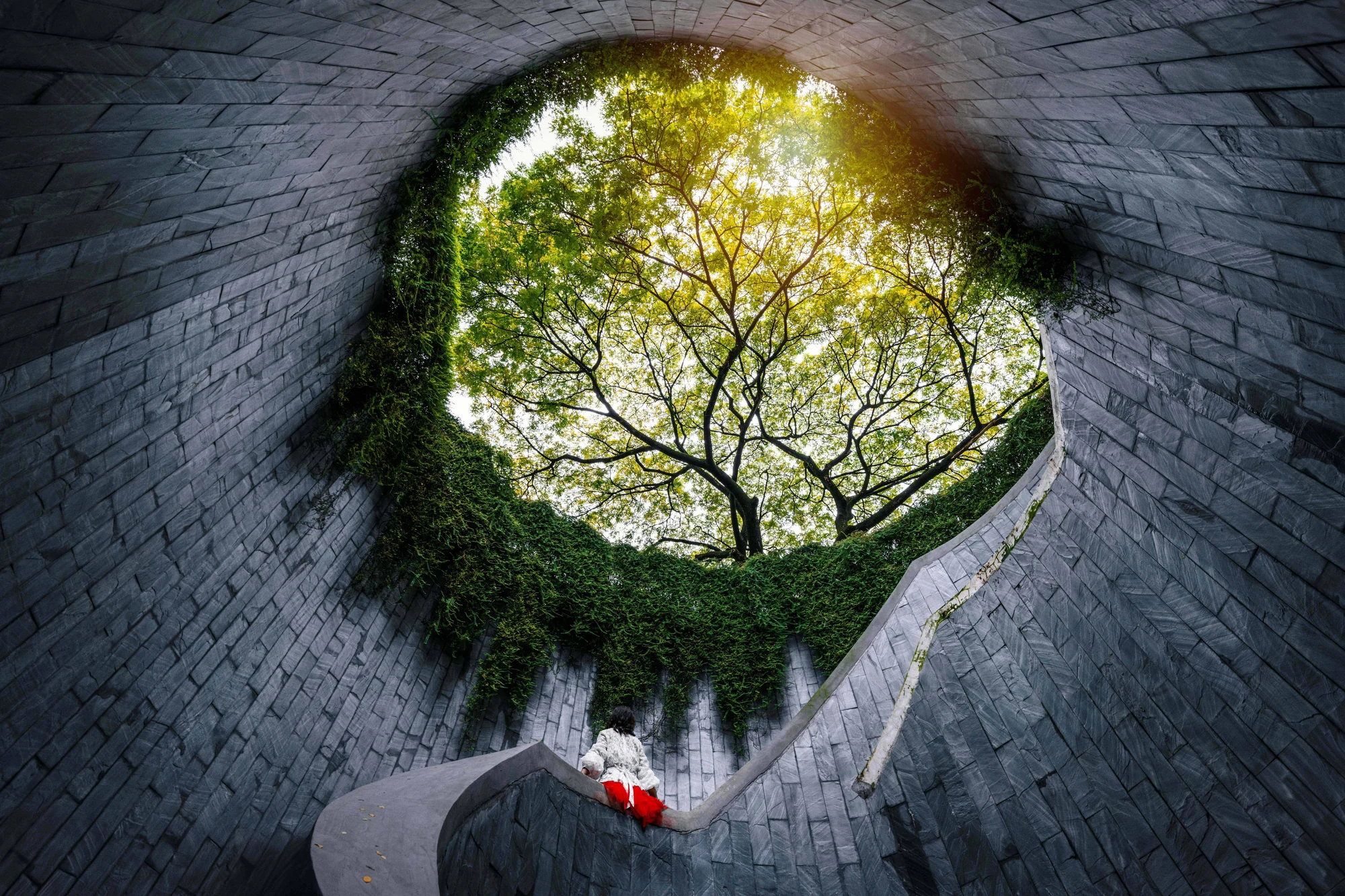 Nature at the Heart of the City, μία από τις 13 φωτογραφίες του ημερολογίου WMO 2027