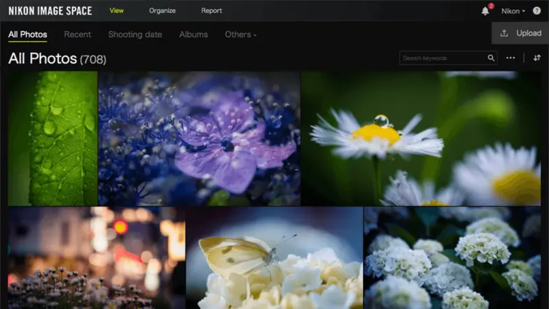 Η Nikon κλείνει το IMAGE SPACE στις 15 Οκτωβρίου: Πότε και πώς σώζεις τις φωτογραφίες σου
