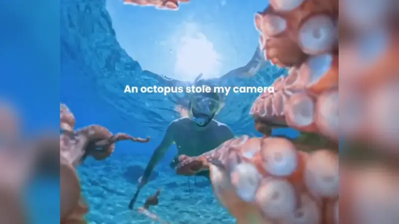 Greek Snorkeler Captures an Octopus “Stealing” His Insta360 X5