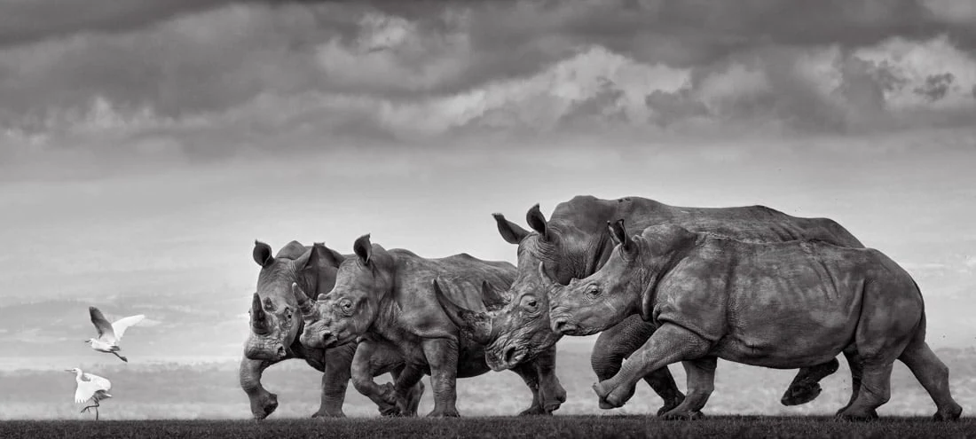 Preeti και Prashant Chacko (India) — Open Nature/Landscape — second place; Epson Digital Art Prize winners with The Rugby Players