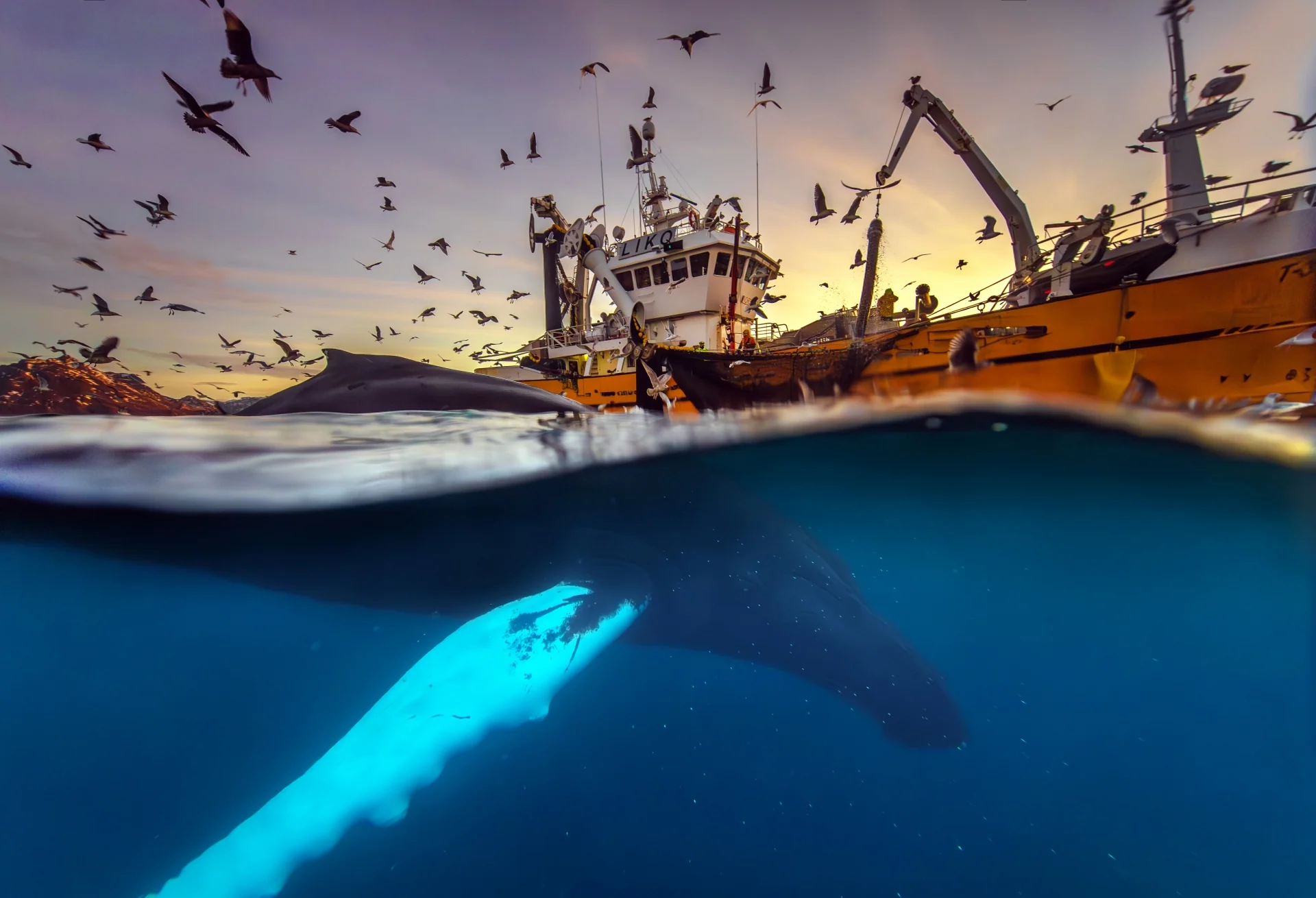 Dinner Is Served! — Audun Rikardsen
