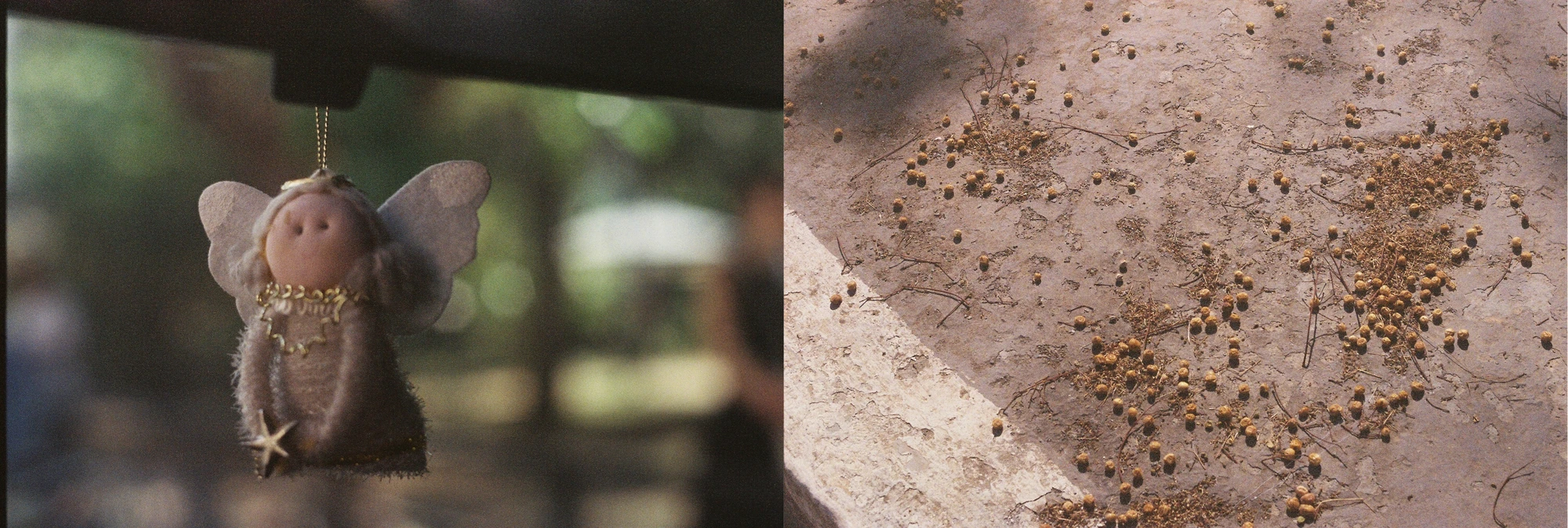 Diptych showing a small decorative angel and dried flowers on a surface