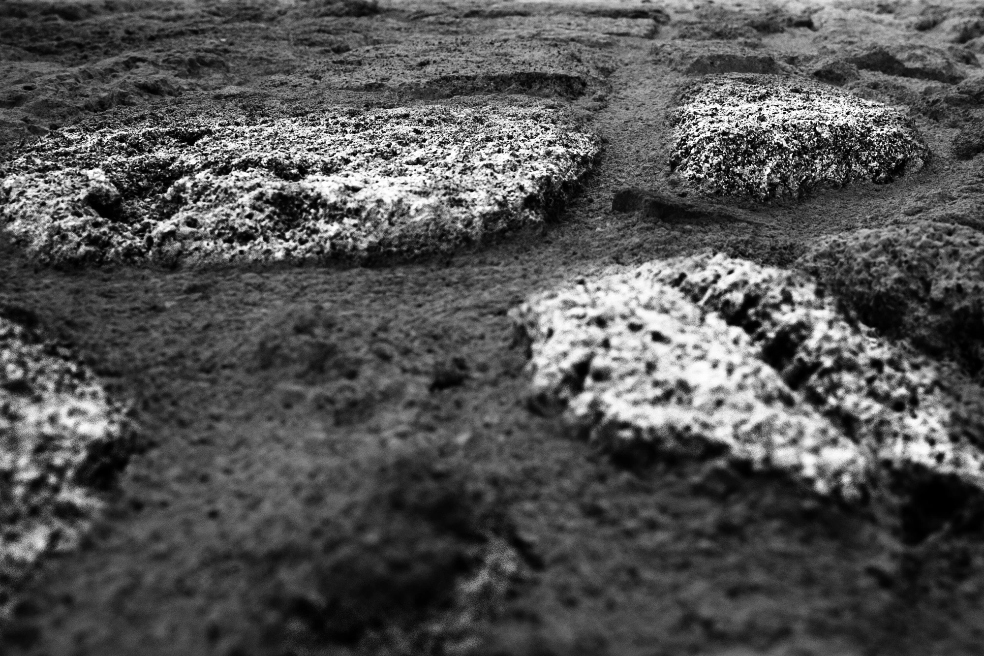Black and white close view of a textured rocky surface