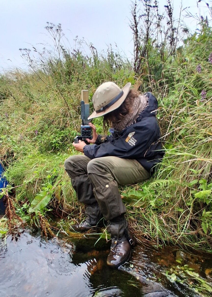 Μέλος της ομάδας του Orkney Native Wildlife Project εγκαθιστά φωτοπαγίδα σε βλάστηση δίπλα σε νερό