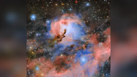 Rubin Reveals the Seagull Nebula in a 144-Megapixel Image