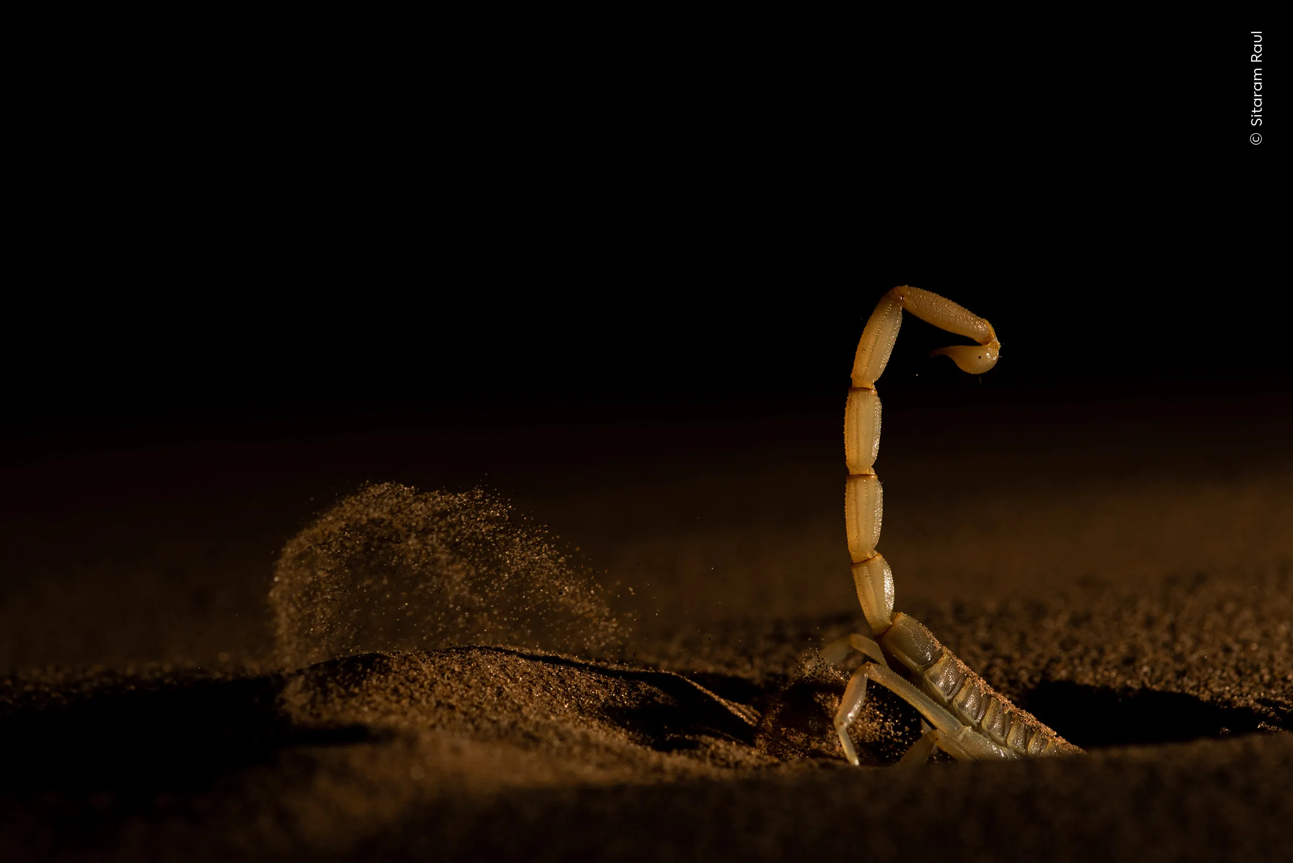 Shifting Sand, φωτογραφία του Sitaram Raul